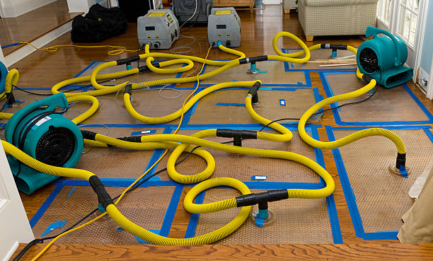 Professional Water Damage Repair technician working in Austin, IN